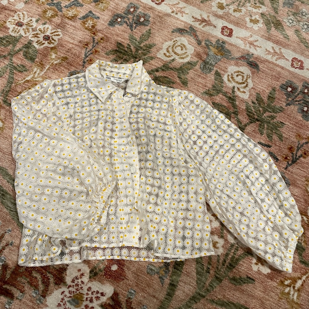 Zara XS sheer blouse